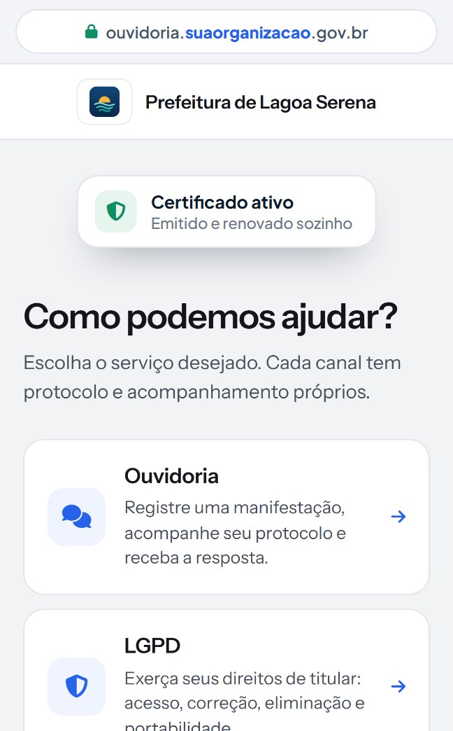 Ilustração do portal aberto no endereço da organização, com o certificado ativo